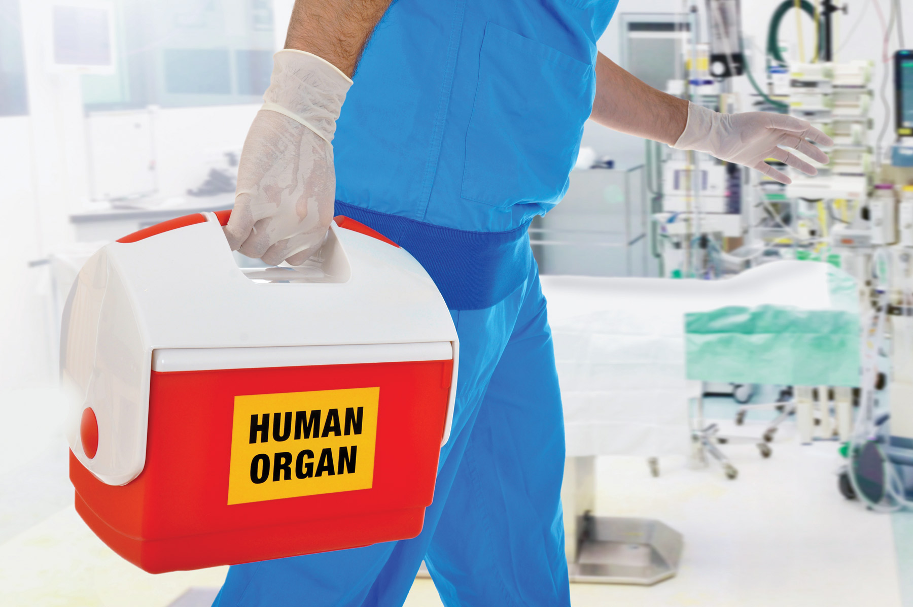 Time To Adopt The Opt Out Model Of Organ Donation Healthcare Radius