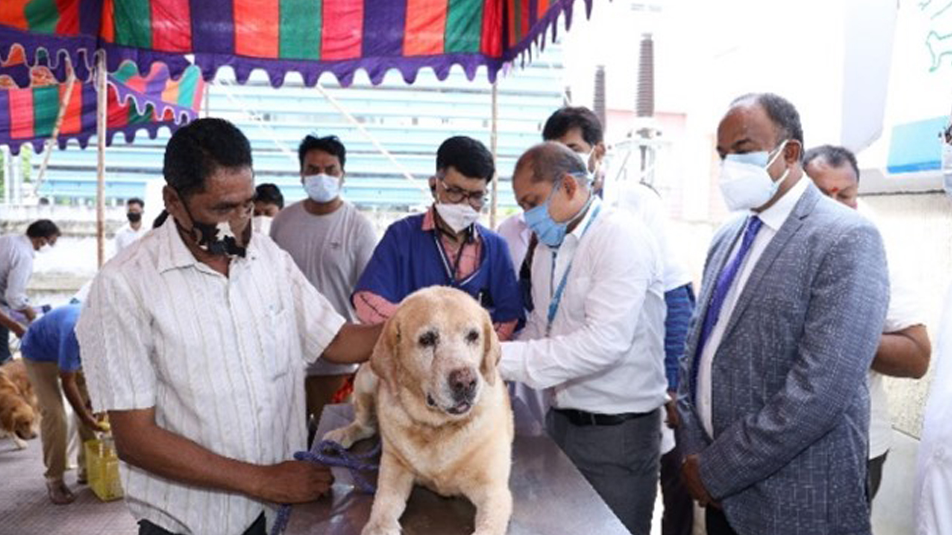 Anand best sale dog hospital