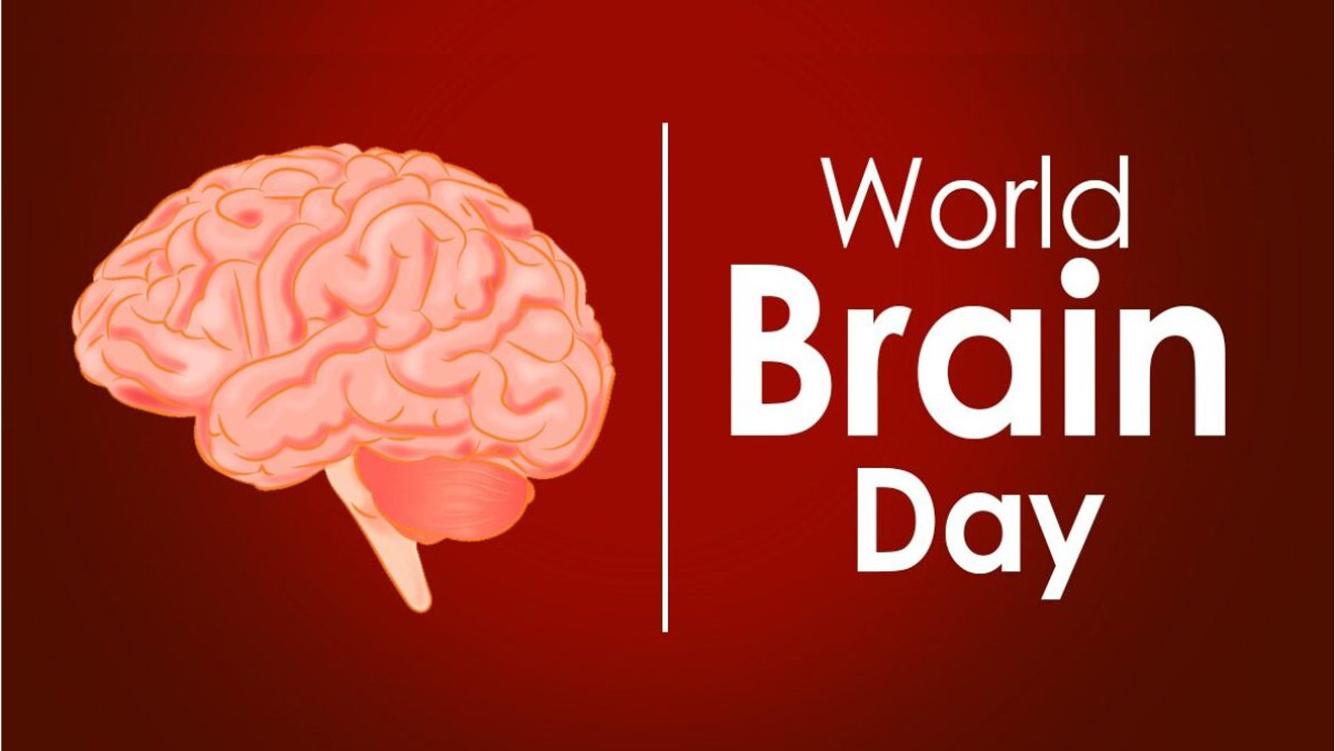 World Brain Day: July 22