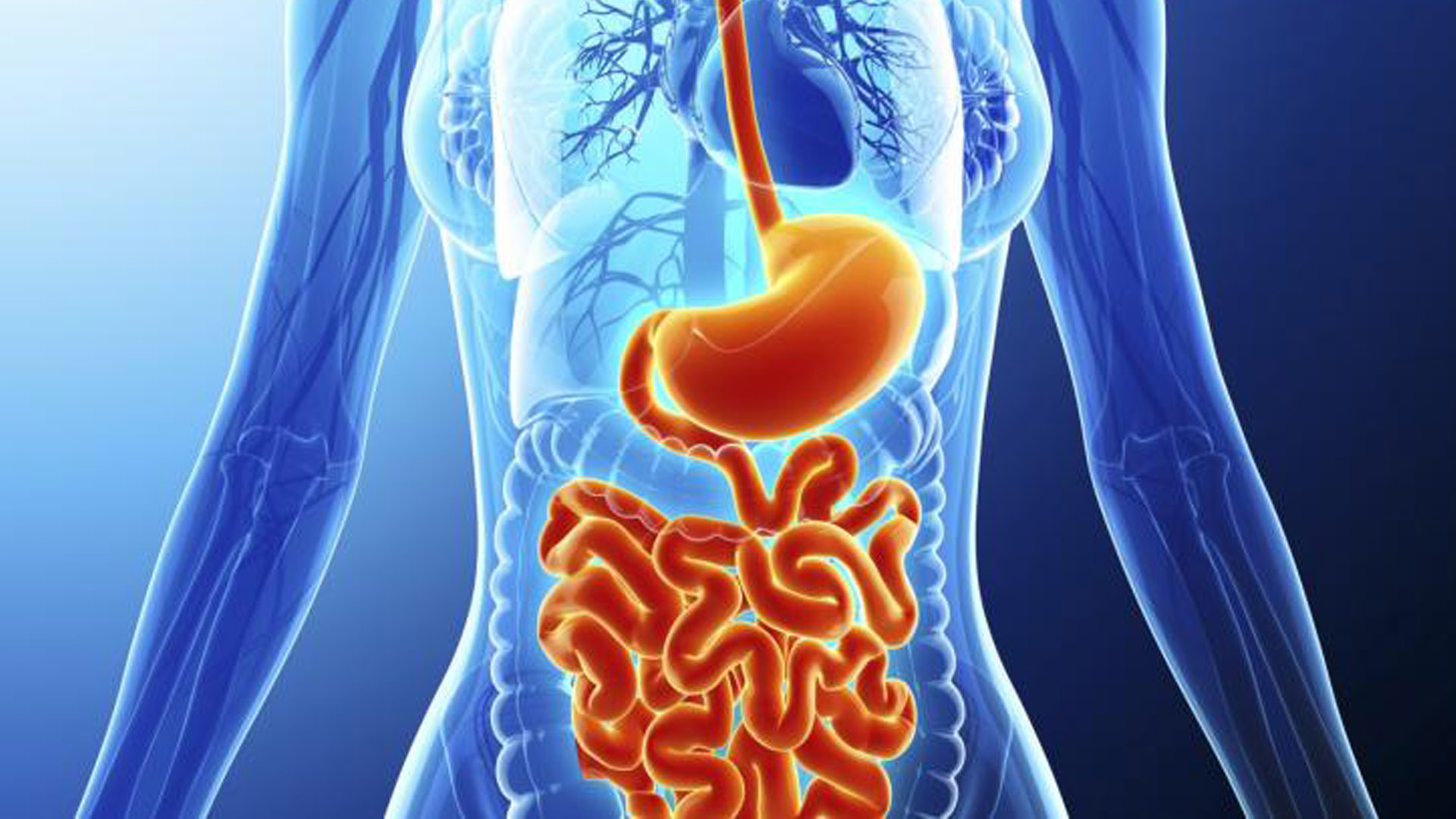 Fall Hill Gastroenterology — Fall Hill Gastroenterology Associates