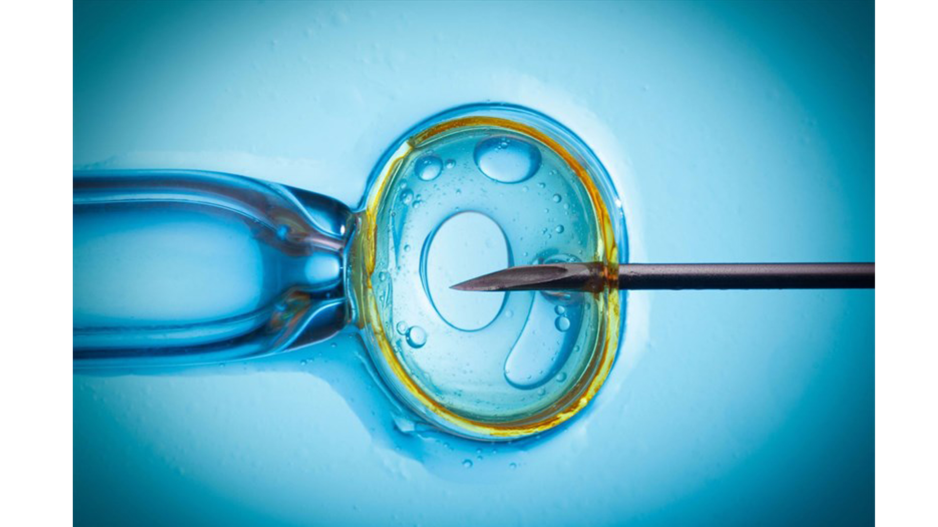 ART Fertility Clinics commences its west operations with clinic in ...